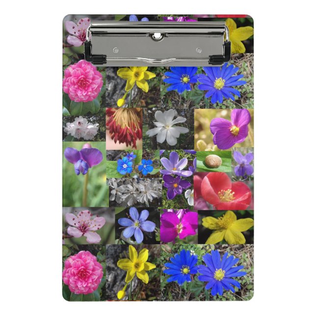 Mini Prancheta clipboard primavera colorida (Frente)
