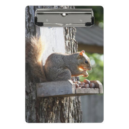 Mini Prancheta Clipboards de esquilo