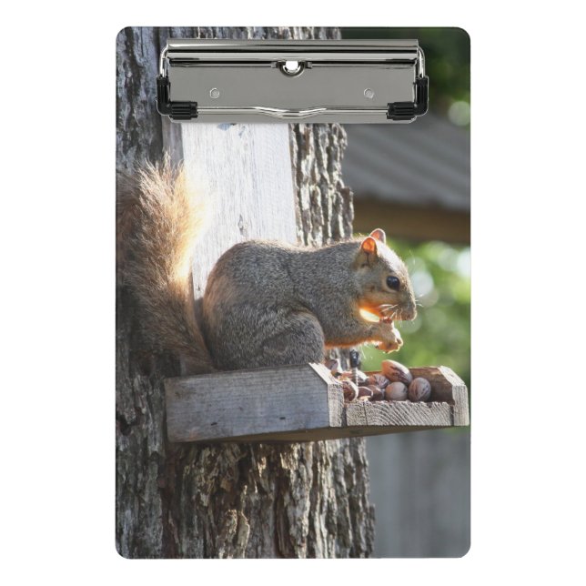 Mini Prancheta Clipboards de esquilo (Frente)