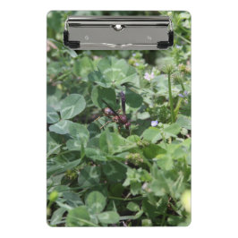 Mini Prancheta Clipboards Wasp