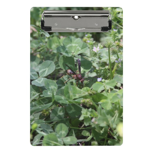 Mini Prancheta Clipboards Wasp (Frente)