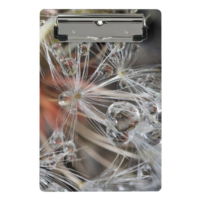 Mini Prancheta Dandelion Abstrato (Frente)