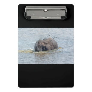 Mini Prancheta Elefante-balneário