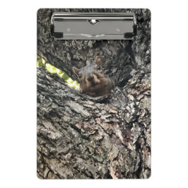 Mini Prancheta Esquilo