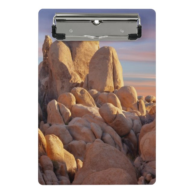 Mini Prancheta EUA, Califórnia, parque nacional de árvore de (Frente)