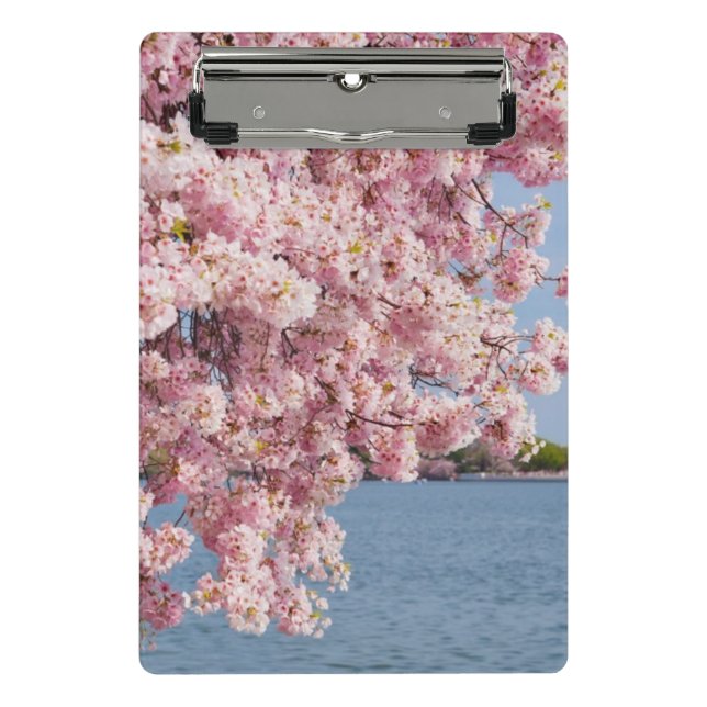 Mini Prancheta EUA, Washington DC, árvore de cereja (Frente)