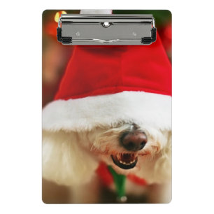 Mini Prancheta Filhote de cachorro de Bichon Frise que veste o