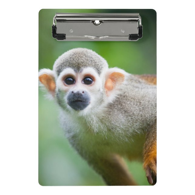 Mini Prancheta Fim-acima de um macaco de esquilo comum (Frente)