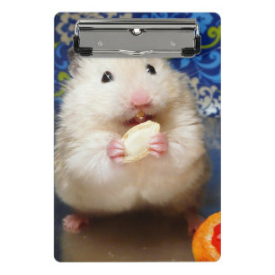 Mini Prancheta Fluffy - Hamster Sírio Kokolinka
