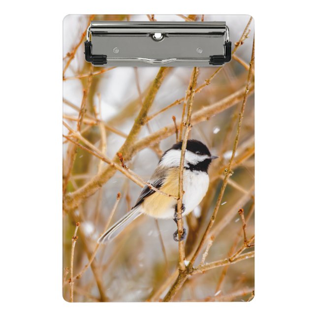 Mini Prancheta Frango de Capa Preta - Fotografia Original (Frente)