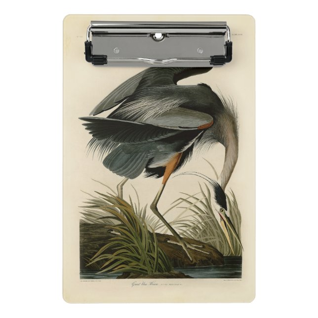 Mini Prancheta Garça-azul-grande de Audubon Marsh Bird (Frente)