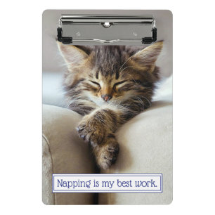 Mini Prancheta Gatinho dormindo