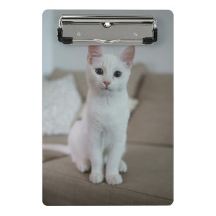 Mini Prancheta Gato branco Zazzle_Growth.