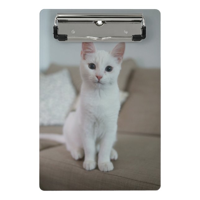 Mini Prancheta Gato branco | Zazzle_Growth. (Frente)