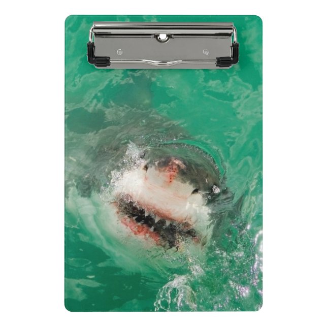 Mini Prancheta Grande branco Shark1 (Frente)