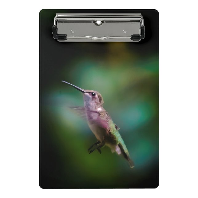 Mini Prancheta Hummingbird com garganta de rubi - Fotografia orig (Frente)