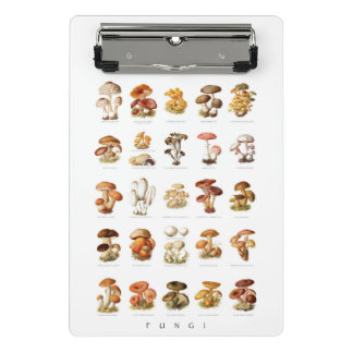 Mini Prancheta Ilustração de safra de cogumelos não comestíveis