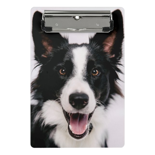 Mini Prancheta Imagens de Getty | A border collie de sorriso (Frente)