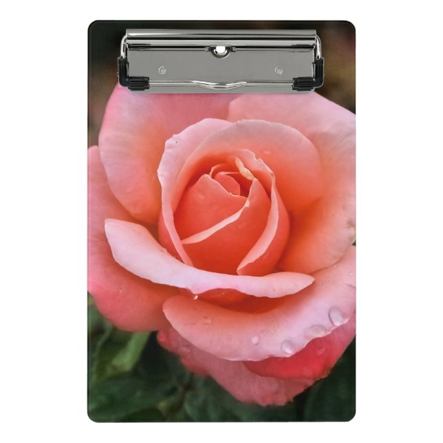 Mini Prancheta Impressão de Arte Botânica Rosa Romântica (Frente)