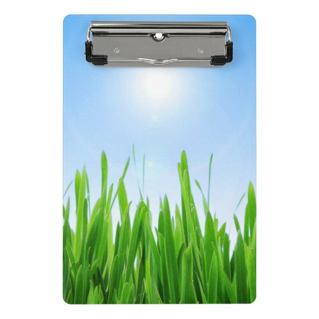 Mini Prancheta Jardim de Relva Verde com Desenho de Céu Azul (Frente)