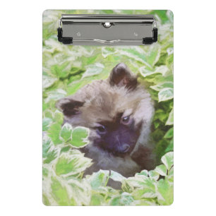 Mini Prancheta Keeshond Puppy na Pintura Original