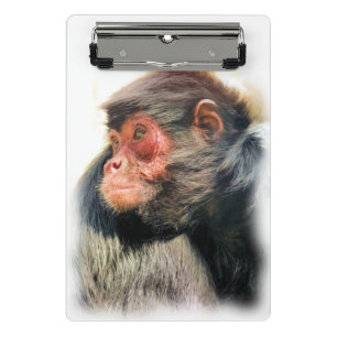 MINI PRANCHETA MACACA DE ARANHA