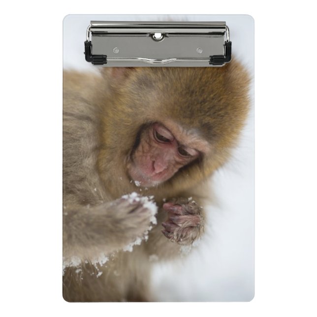 Mini Prancheta Macaco japonês da neve do Macaque | do bebê (Frente)