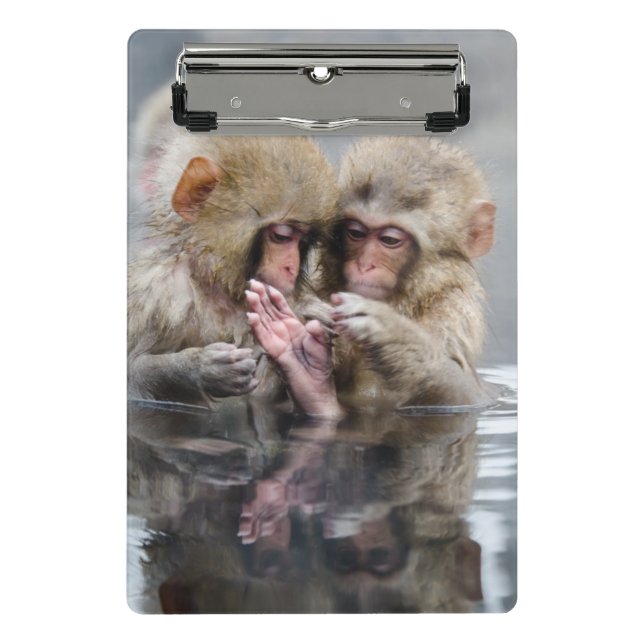 Mini Prancheta Macacos pequenos | Hot Springs, Japão (Frente)