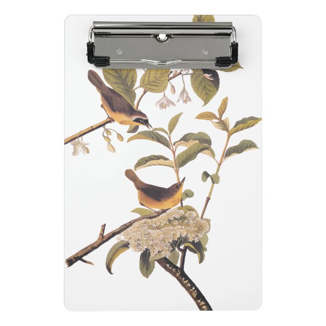 Mini Prancheta Maryland Yellowthroat Audubon Birds em Olive Tree (Frente)