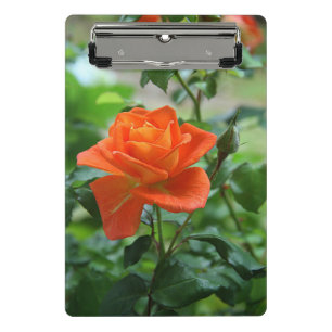 Mini Prancheta Natureza Rosa Rosa Rosa Flor