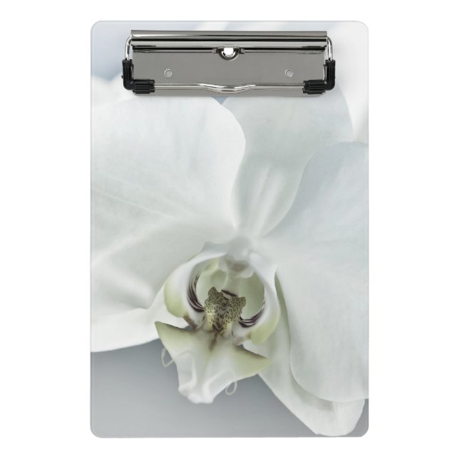 Mini Prancheta Orquídea de Phaleonopsis Branca (Frente)