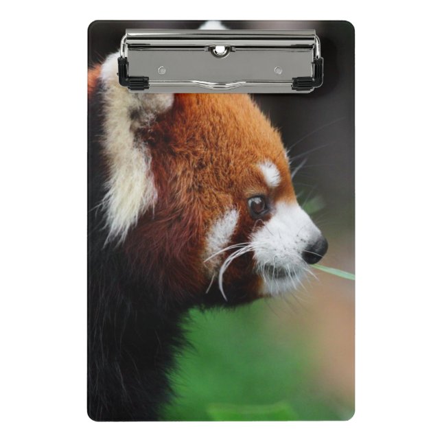 Mini Prancheta Panda vermelha (Frente)