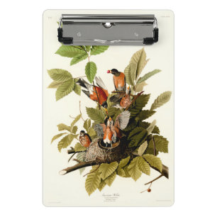 Mini Prancheta Pássaro Americano Robin Wildlife