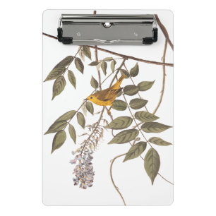 Mini Prancheta Pássaro de Audubon Amarelo-Azul na Wisteria