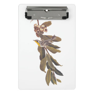 Mini Prancheta Pássaro Warbler Yellowthroat de Audubon na Ramifi