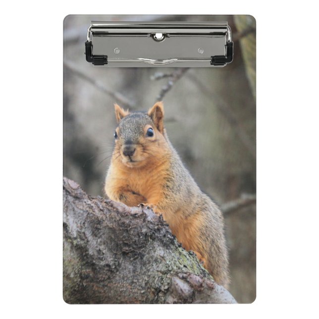 Mini Prancheta Pensive (Frente)