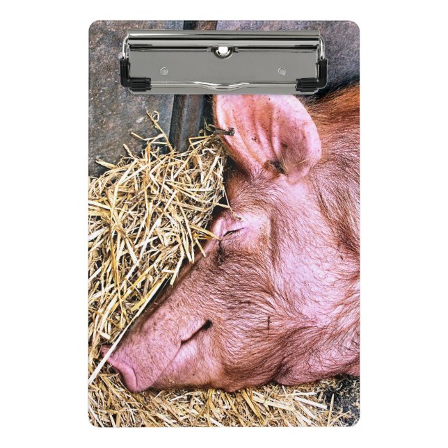 MINI PRANCHETA PIG CUTO (Frente)