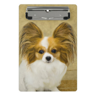 Mini Prancheta Pintura de Papillon (Hound Tri) - Arte de Cão Orig