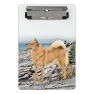 Mini Prancheta Pintura em Seashore - Arte Canina