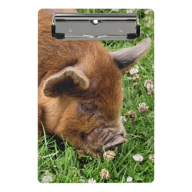 MINI PRANCHETA PLACA DE CLIPE DE PIG CUTÂNEA (Frente)