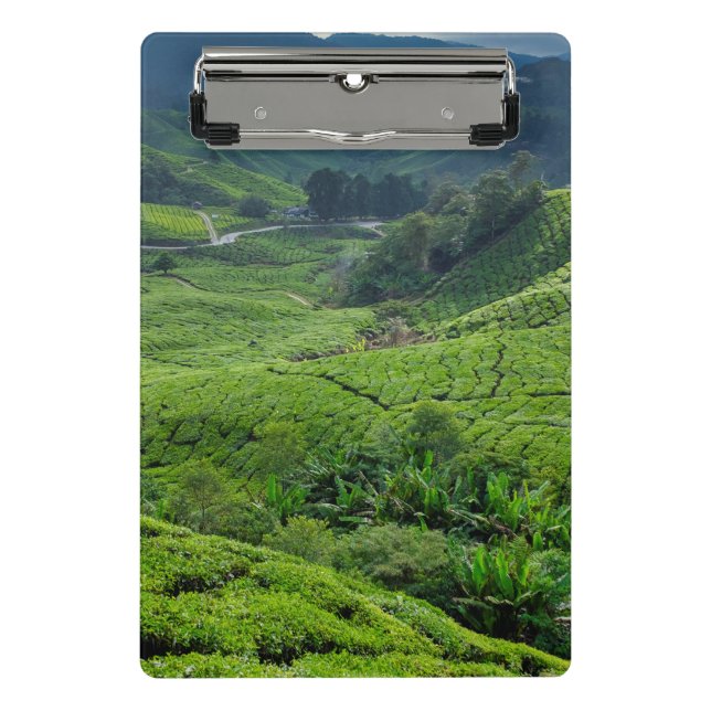 Mini Prancheta Plantação de Chá de Cameron Highlands (Frente)