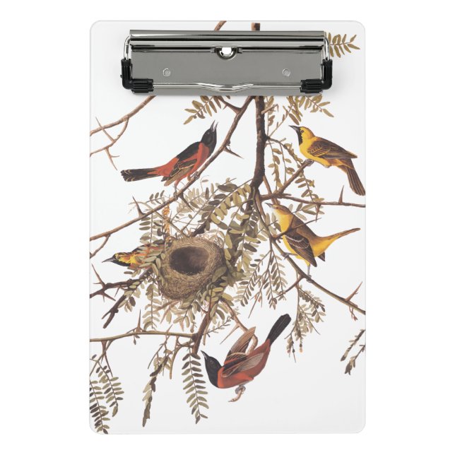 Mini Prancheta Pomar-pomar-do-guará-guará-dourado em árvore (Frente)