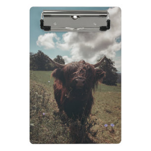 Mini Prancheta Prados negros e pastagens de vaca escocesa