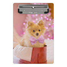 Presente no presente do docinho de Natal