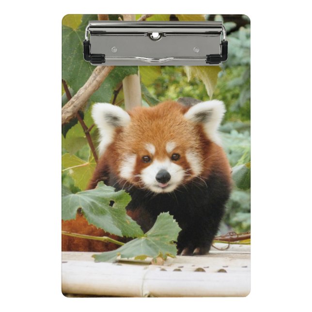 Mini Prancheta Red Panda (Frente)