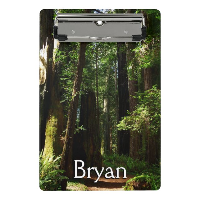 Mini Prancheta Redwoods and Ferns at Redwood National Park (Frente)