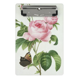 Mini Prancheta Rosa Centifolia