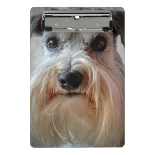 Mini Prancheta Rosto de Cachorro Schnauzer