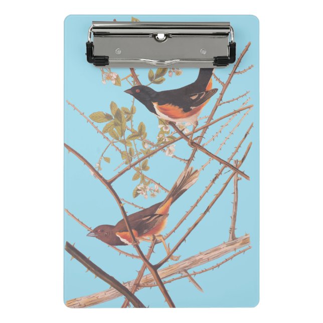 Mini Prancheta Toweting Audubon Black and Orange Song Birds (Frente)