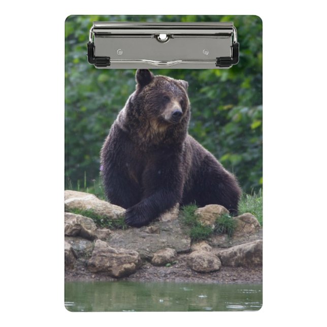 Mini Prancheta Urso de Brown (Frente)